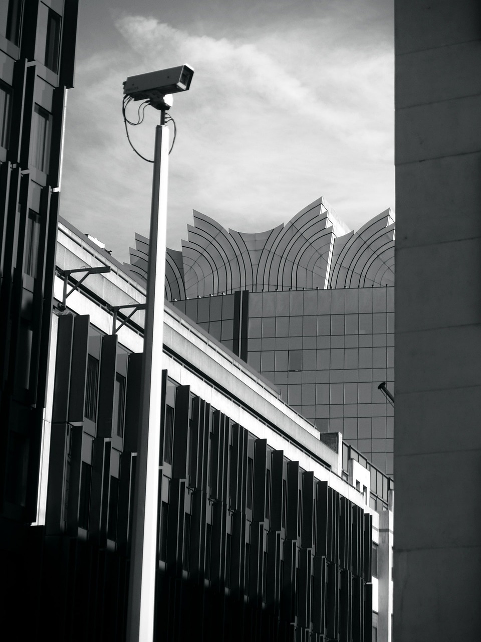 漾濞地震持續(xù)監(jiān)測與救援進(jìn)展報(bào)告，最新動(dòng)態(tài)更新