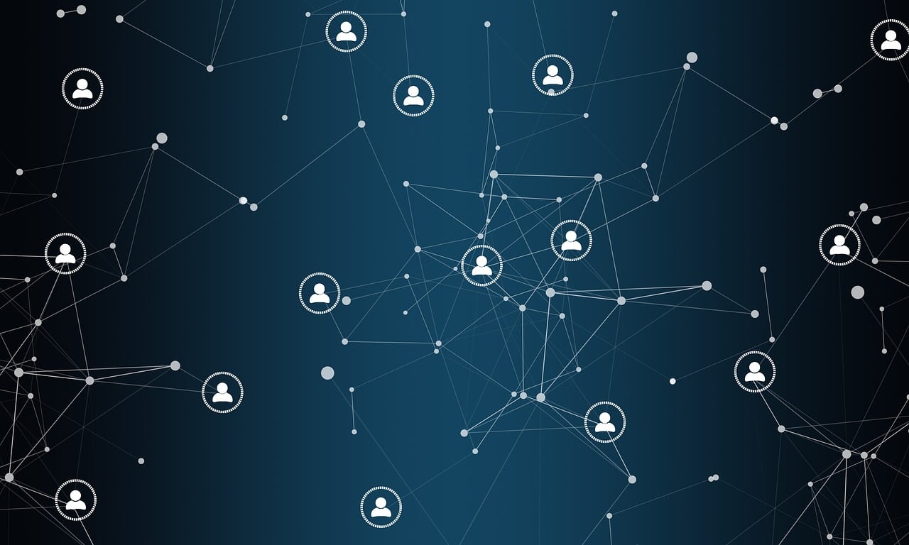 五林風(fēng)資訊，探索信息世界的奧秘