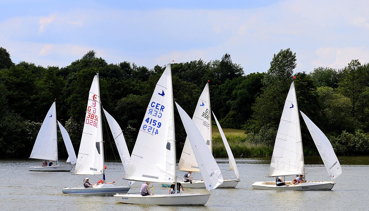 觀看比賽，情感過(guò)山車(chē)之旅