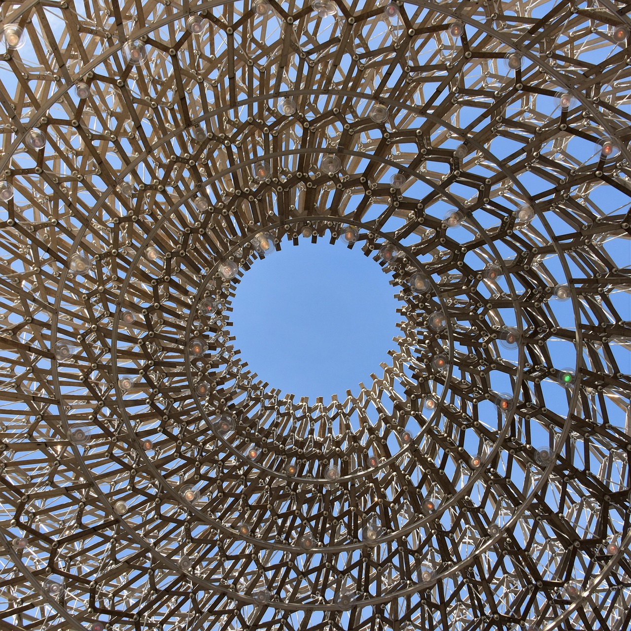 蘆丁行情深度分析與展望