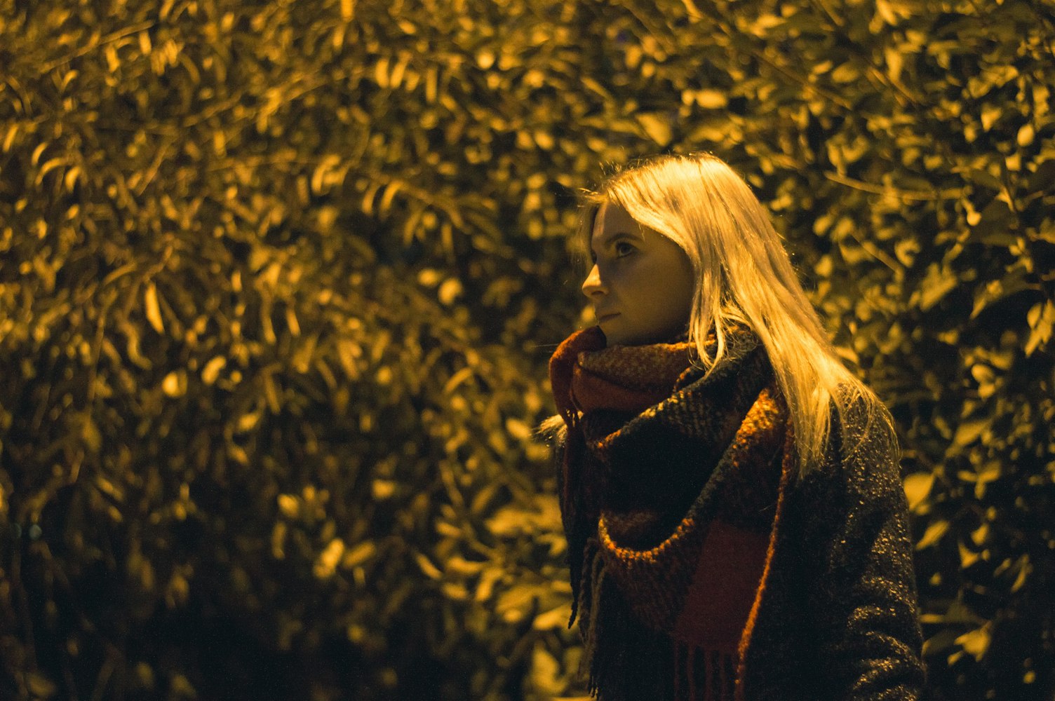 老電影女演員，時(shí)光里的璀璨星辰記憶