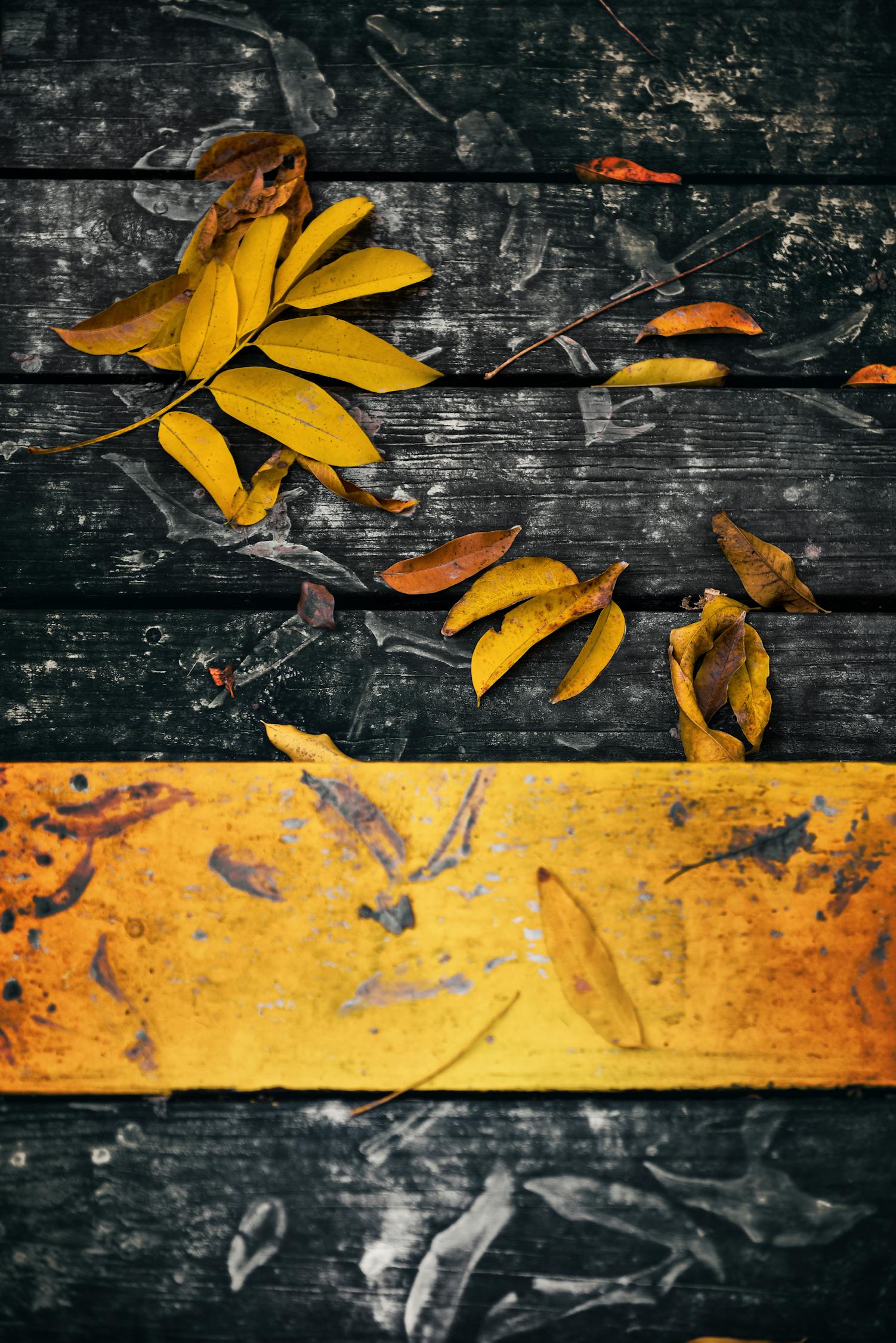 創(chuàng)作指南，打造無色情內(nèi)容的優(yōu)質(zhì)文章標(biāo)題