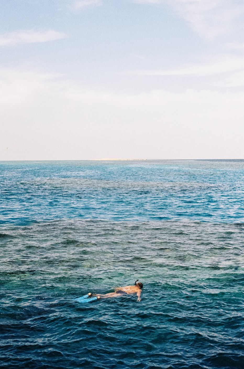 躍動海洋的視聽奇旅——海豚電影