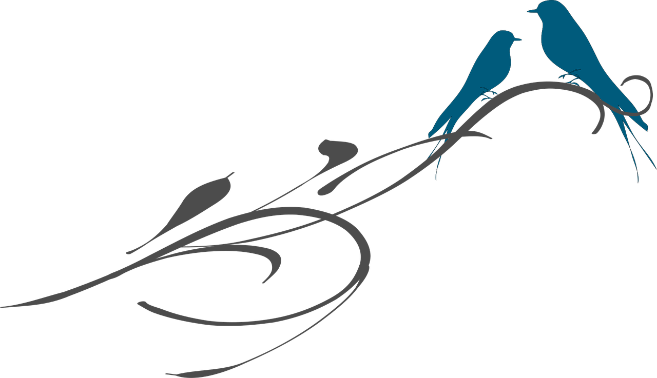 愛之藍(lán)米粉最新動(dòng)態(tài)揭秘，深度解讀與探索之旅