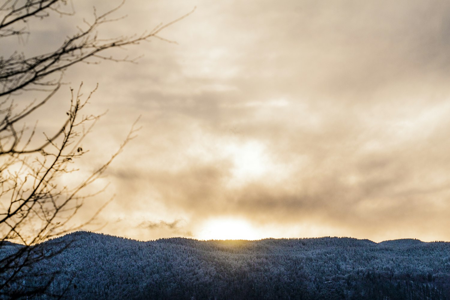 溫暖陽光下的美好瞬間，最新下午好圖片精選