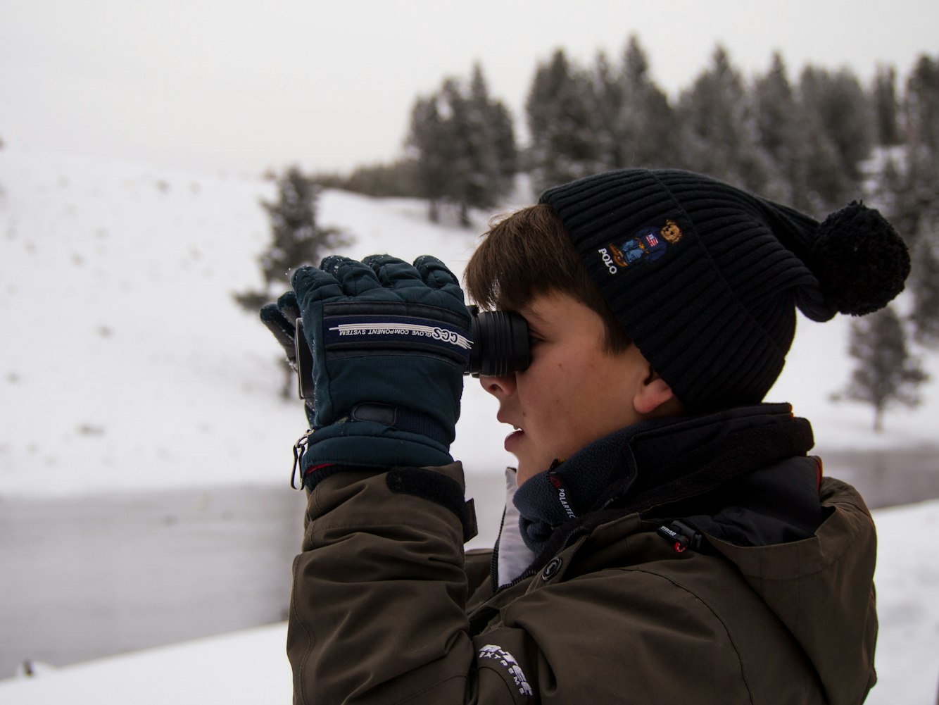 多蘿茜的新動(dòng)態(tài)，探索未知的旅程進(jìn)展