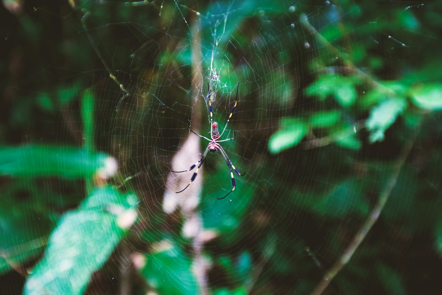 一念永恒免費(fèi)章節(jié)更新探尋網(wǎng)絡(luò)文學(xué)的魅力之旅,一念之間的奇幻之旅