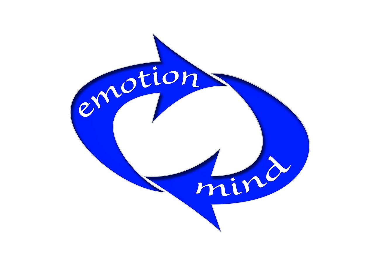 小米美國上市,跨國發(fā)展戰(zhàn)略選擇與資本市場(chǎng)新機(jī)遇