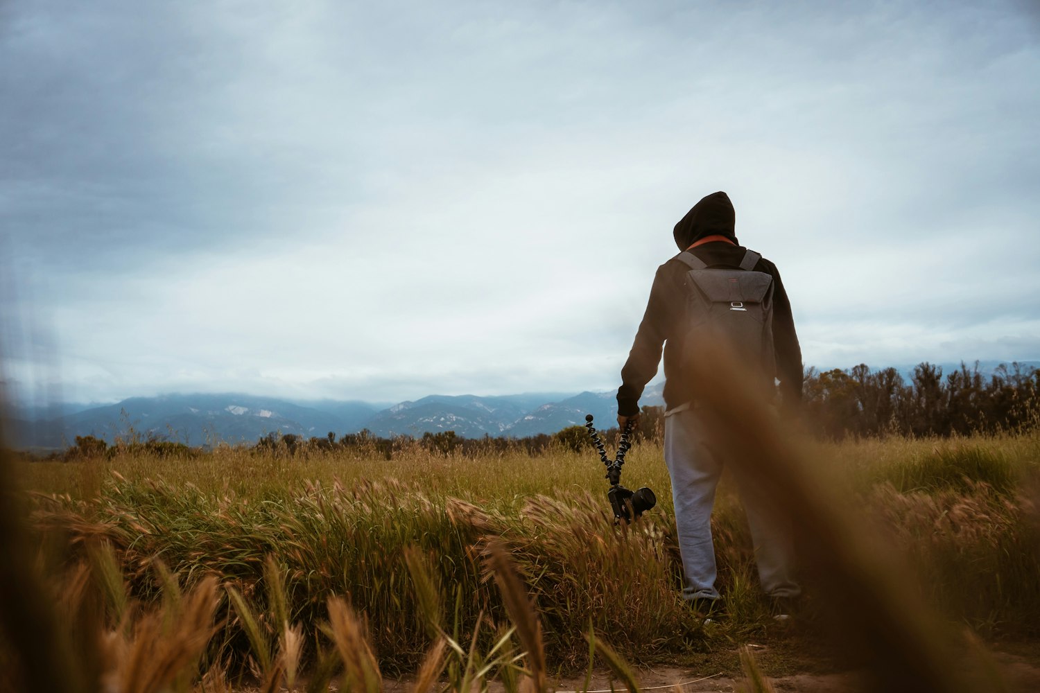 揭秘演員原唱身份，音樂與表演的交融之美探索之旅