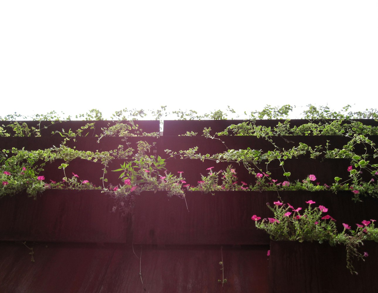 上海凱寶股票實時動態(tài)及分析