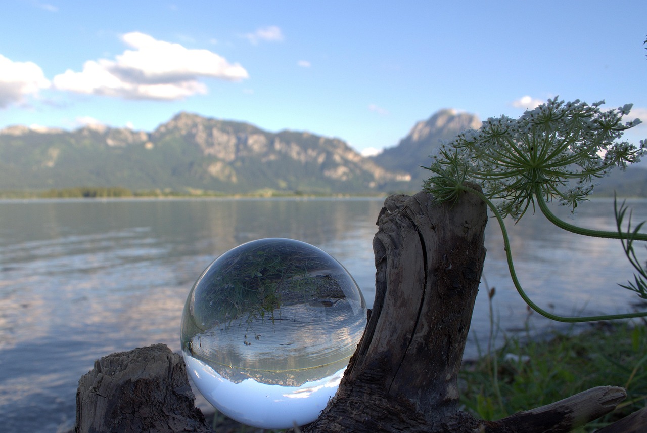 全球職業(yè)拳擊最新動(dòng)態(tài),熱血激戰(zhàn)與未來展望