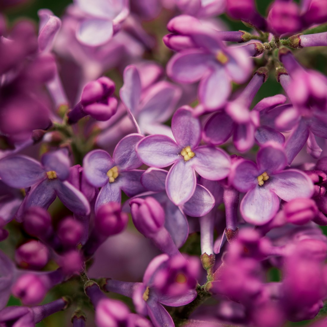 電影資訊速遞,探索影視前沿,洞悉行業(yè)動態(tài)