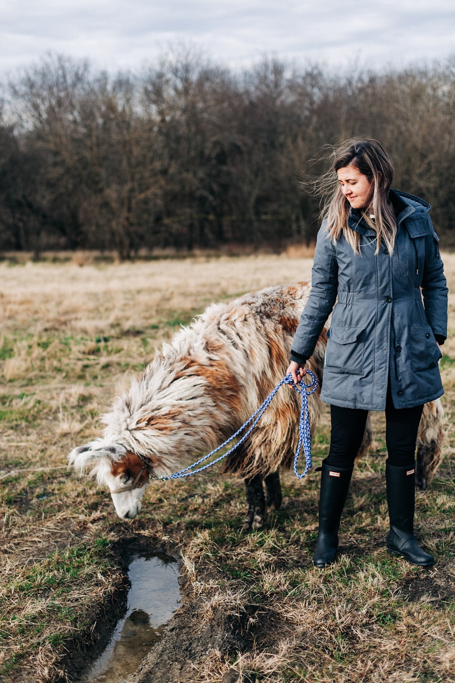 中藍(lán)鯨引領(lǐng)海洋科技，開啟藍(lán)色未來最新動態(tài)