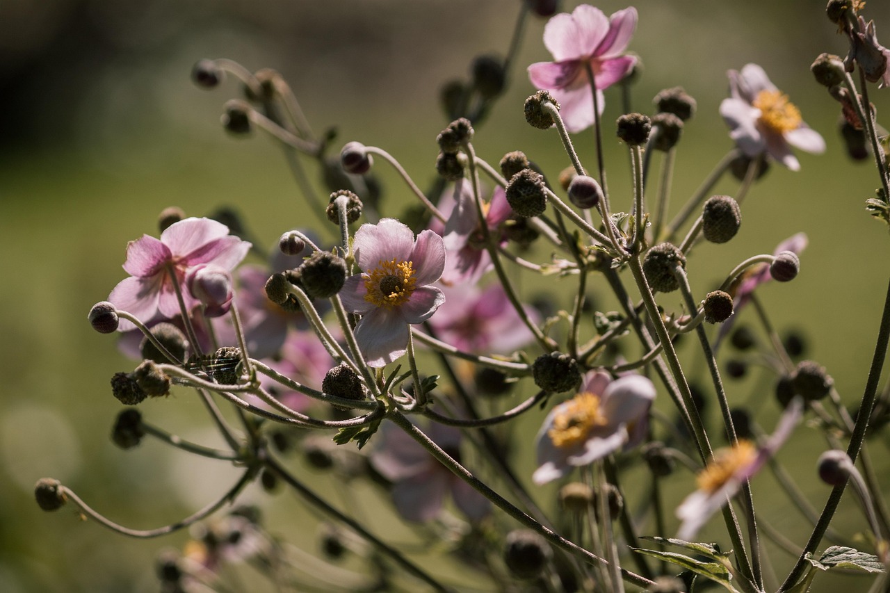 疫情最新動(dòng)態(tài)及應(yīng)對(duì)策略,最新信息與行動(dòng)指南