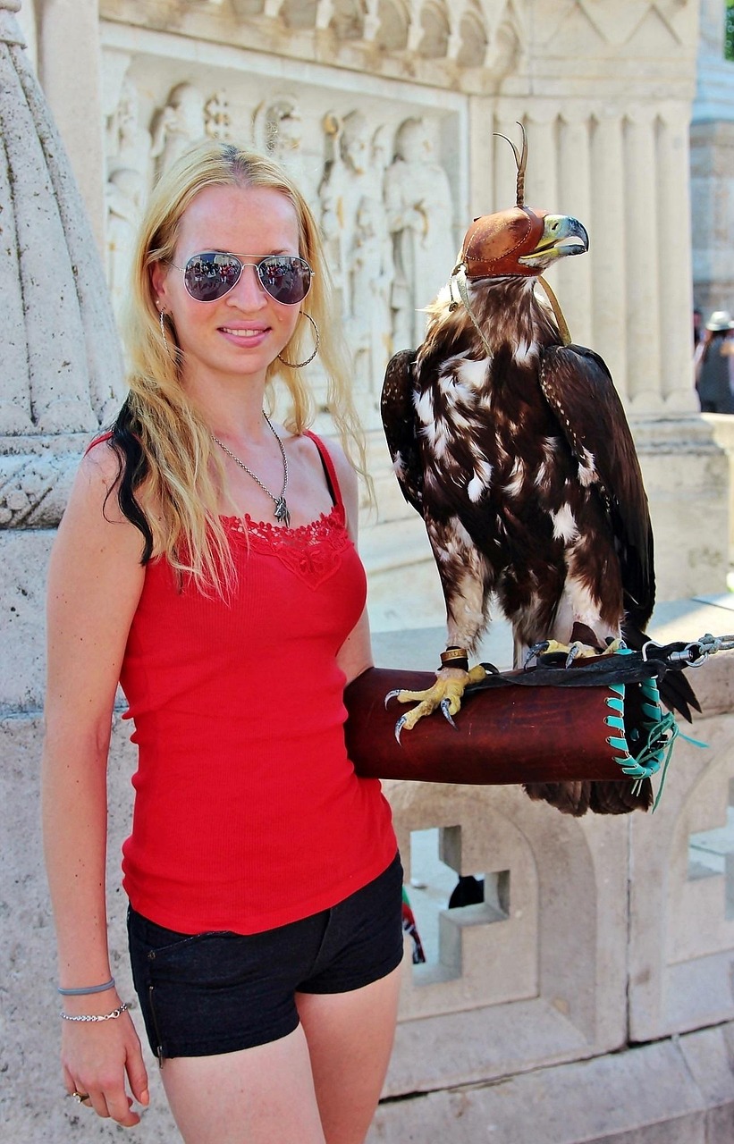 法國最新疫情動態(tài),挑戰(zhàn)與應(yīng)對策略解析