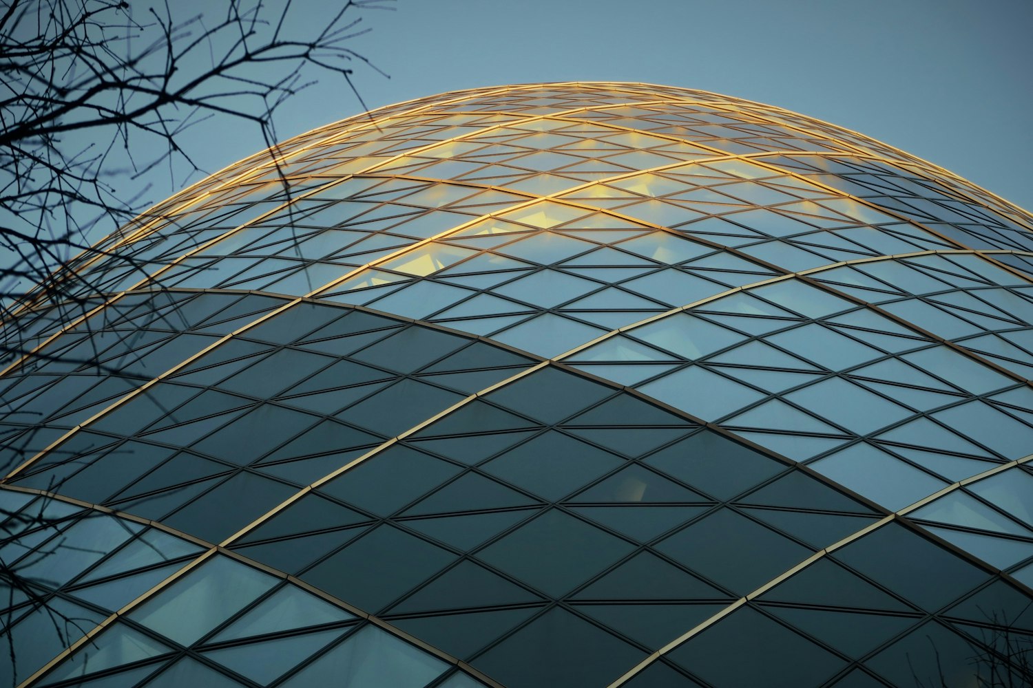 前沿科技成就展示,探索未來科技新領(lǐng)域,展現(xiàn)科技創(chuàng)新力量