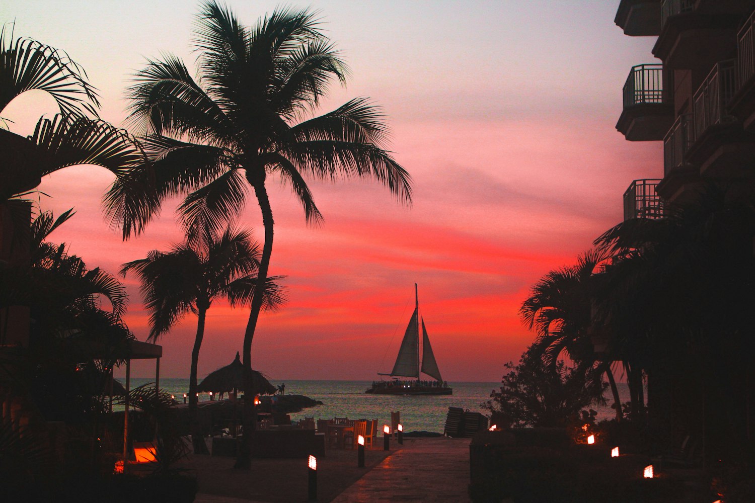 狗狗幣最新價(jià)格動(dòng)態(tài)及分析揭秘,實(shí)時(shí)價(jià)格與市場(chǎng)趨勢(shì)探討