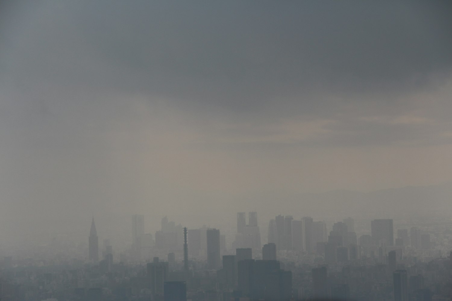 葉天南最新力作，探索未知領(lǐng)域的文學魅力之旅