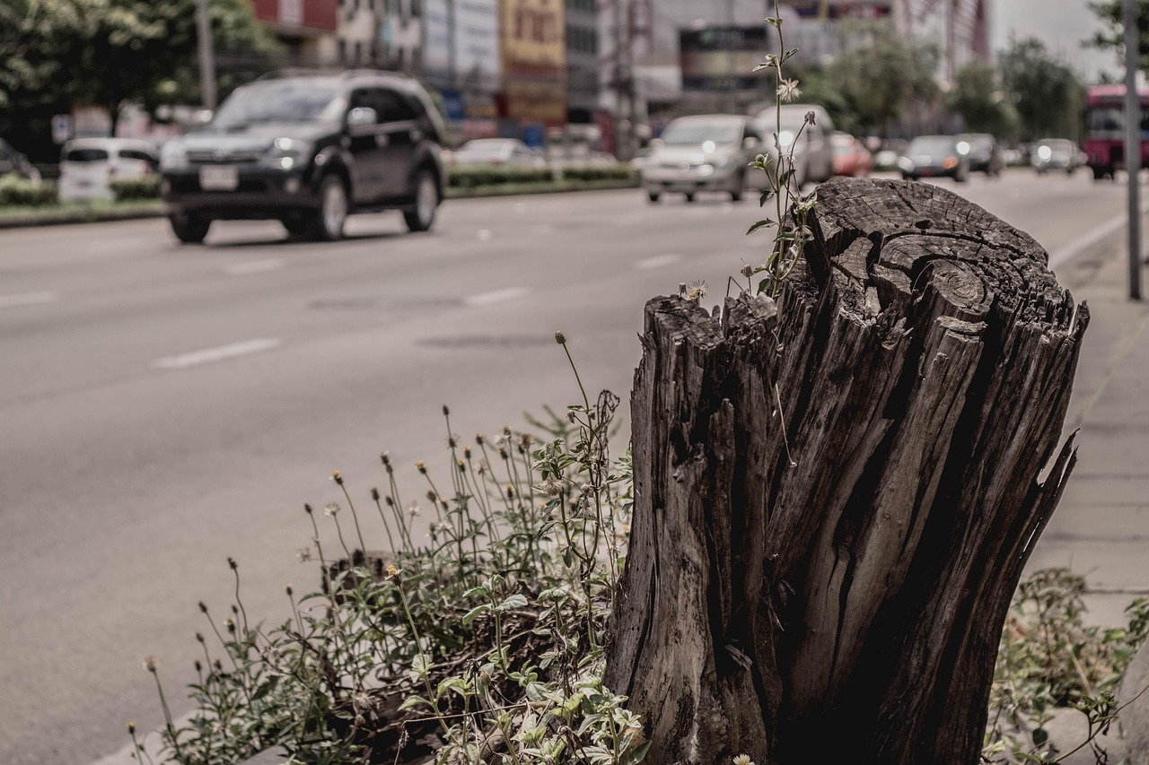 永濟最新通告，城市發(fā)展的最新動態(tài)、未來展望與未來發(fā)展路徑揭秘。